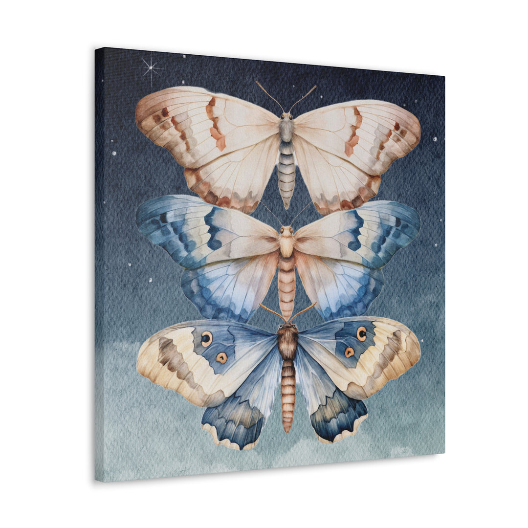 Trio of Moths in the Night Sky | Canvas Artwork