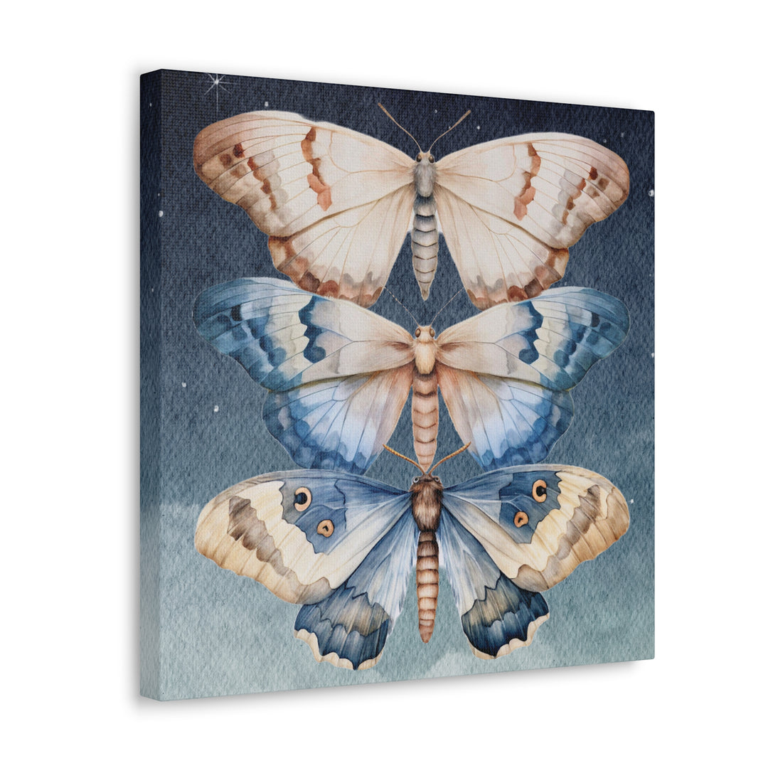 Trio of Moths in the Night Sky | Canvas Artwork