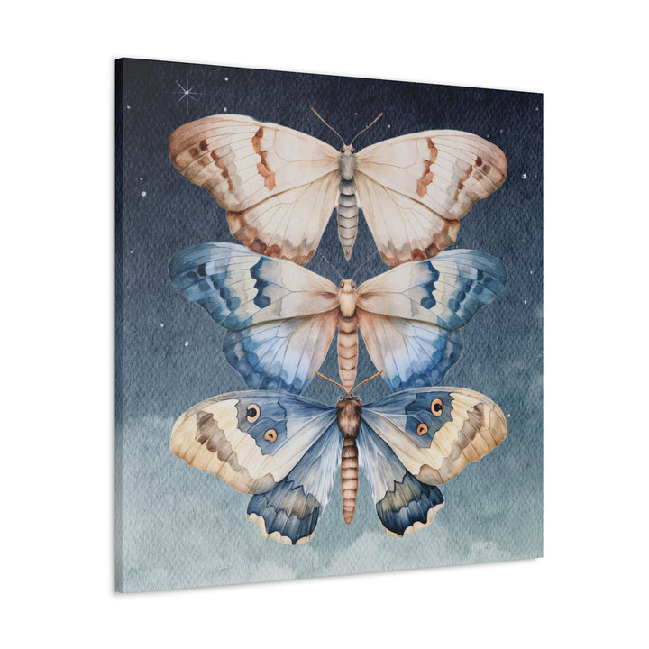 Trio of Moths in the Night Sky | Canvas Artwork