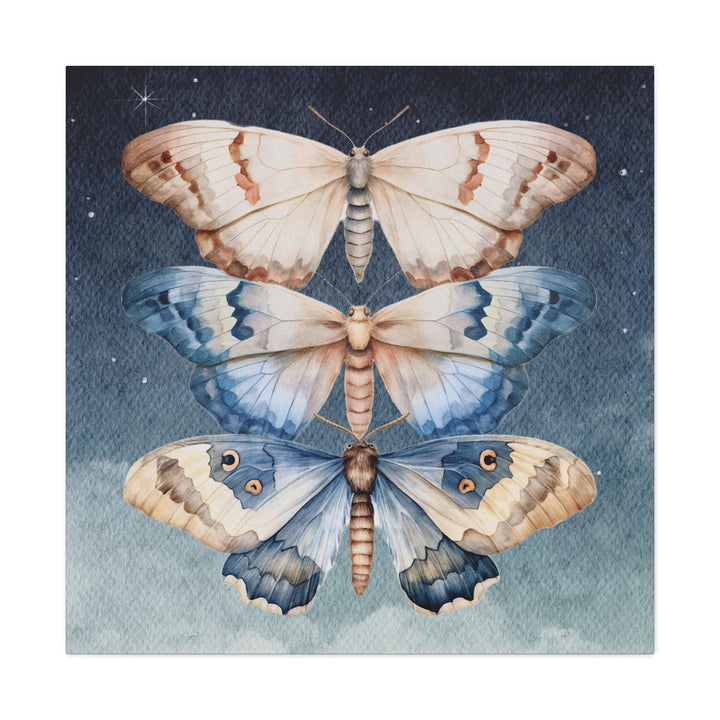 Trio of Moths in the Night Sky | Canvas Artwork